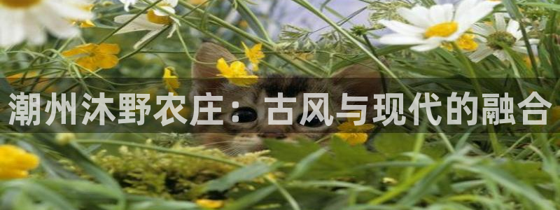 必一运动体育官网