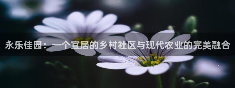 必一体育app官方