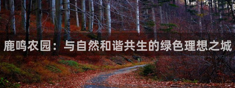 必一体育下载登入