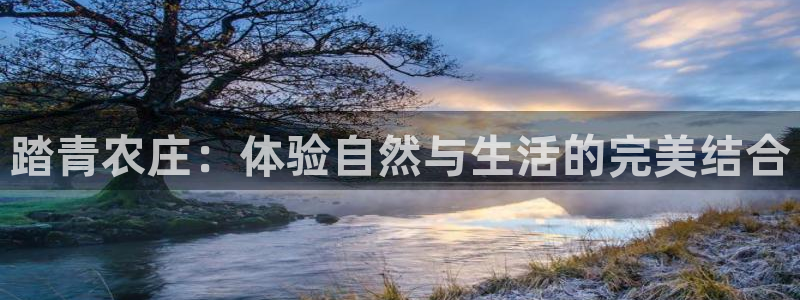 b体育必一运动网页版在线登录入口