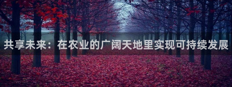 Bsport体育app必一