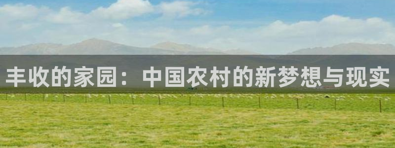 必一体育app下载装机吧