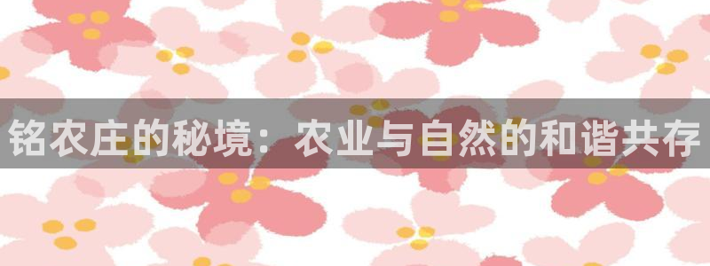 Bsport体育app必一