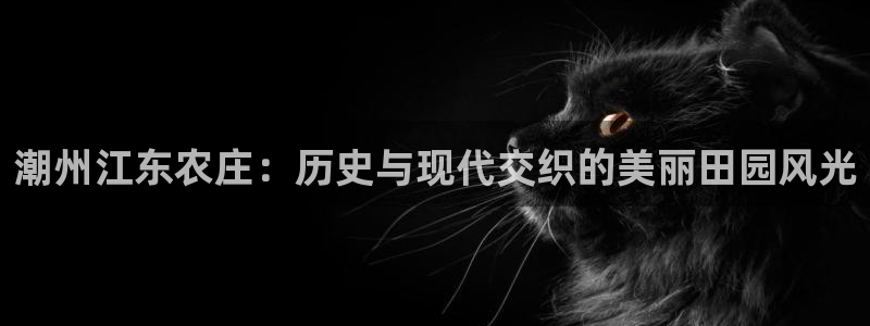 必一体育可靠吗