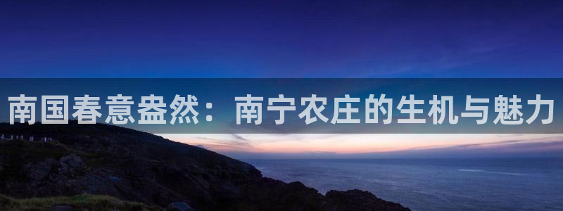 必一体育运动app