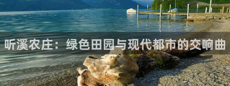 必一体育电子app