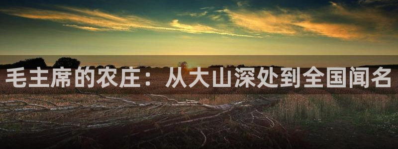 必一体育运动官网