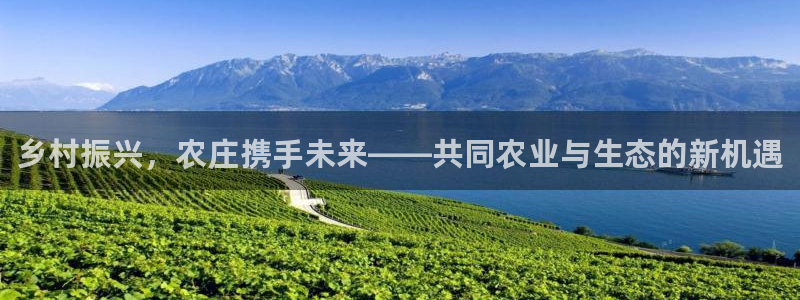 必一体育官网入口