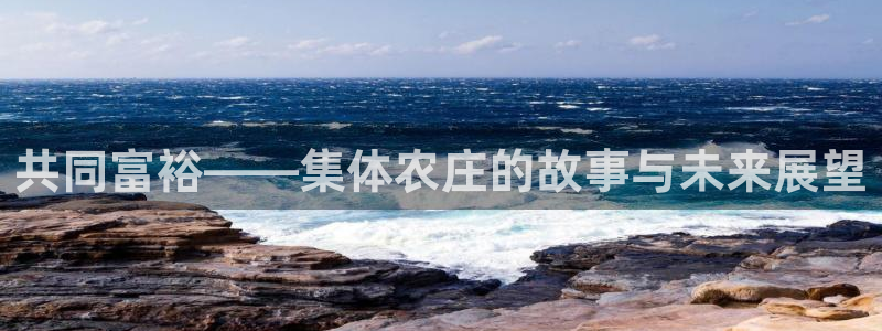 必一体育sport官方网站