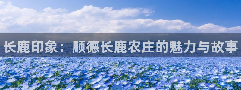 必一运动sport网页版