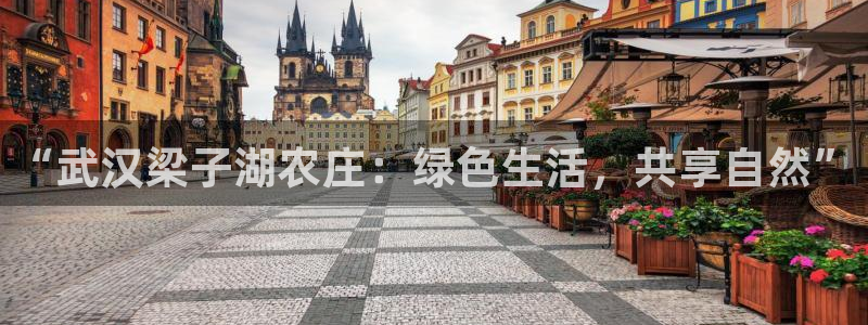 必一体育bsport下载