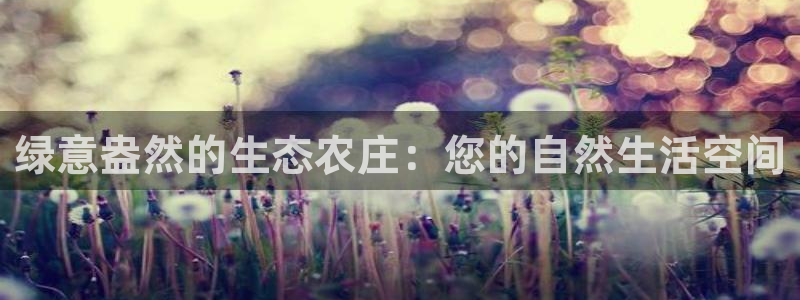 必一体育运动官网