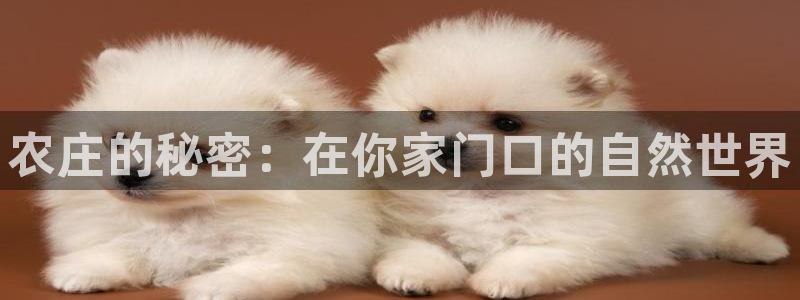 必一运动sport爱查股