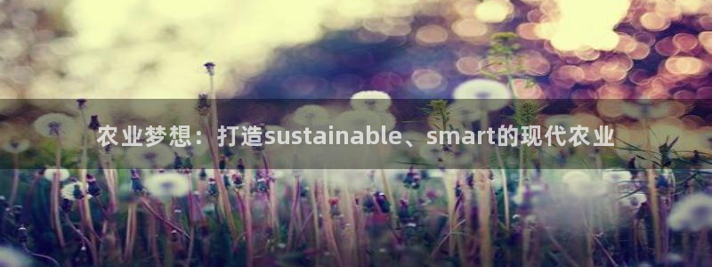 必一体育sport官网