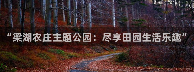 必一体育下载义