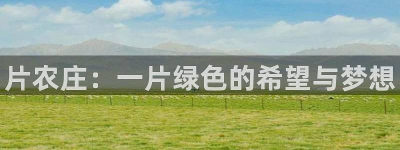 必一体育app官方下载