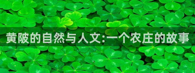 必一体育sportB体育