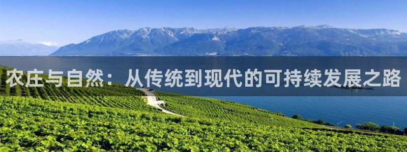 必一体育app下载装机吧