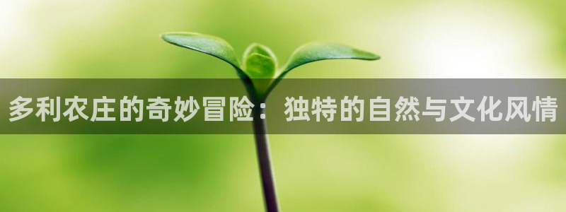 必一体育官方下载入口