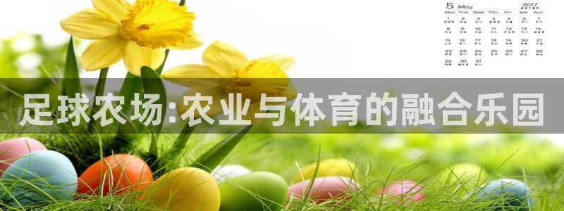 必一体育app官方网站