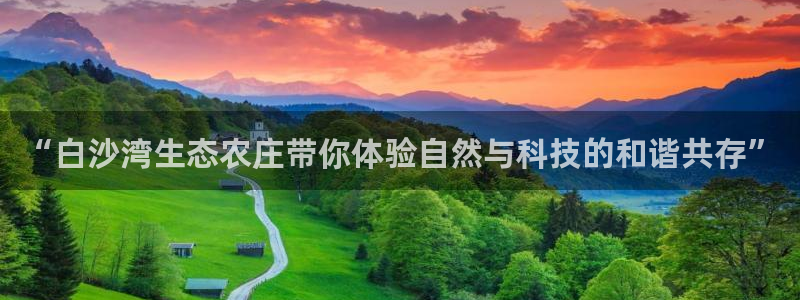 b体育官网下载入口app必一