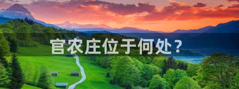 必一体育秀给网