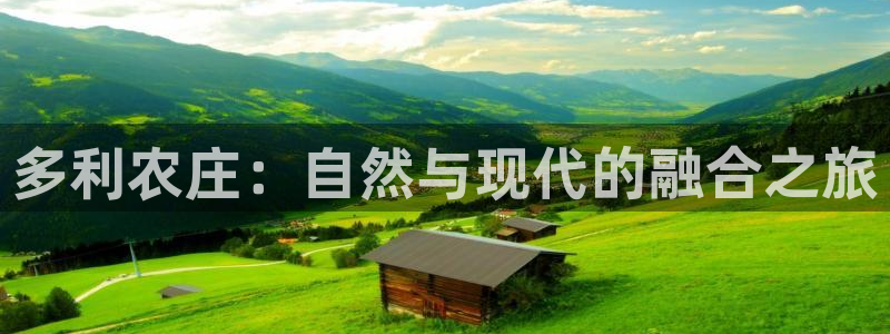 必一体育官方入口