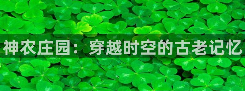 必一体育黑平台