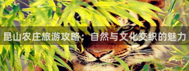 必一体育登录入口