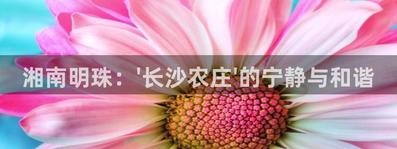 必一体育下载秀给网
