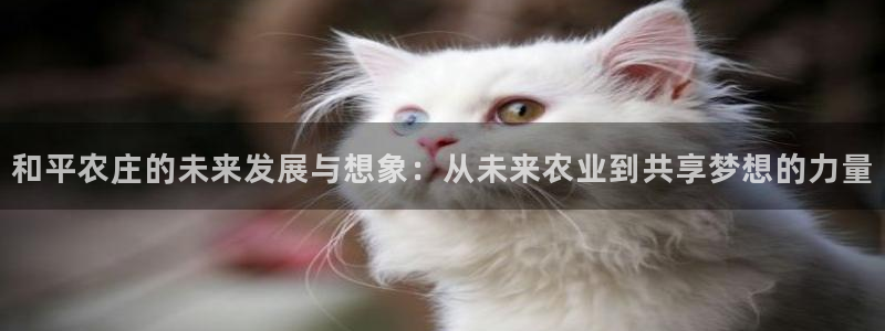 必一体育黑平台