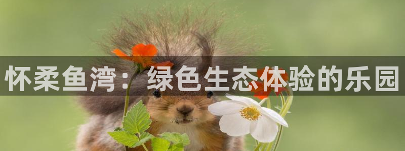 必一体育app下载最新版本