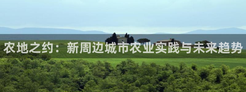 必一体育没了