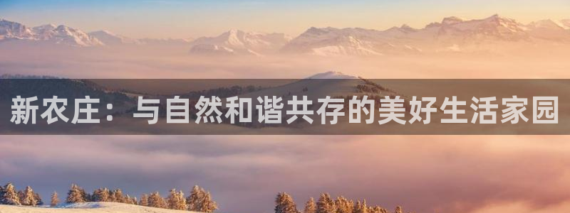 必一运动sport爱查股