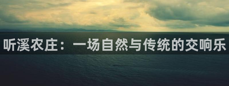 必一体育官方网站入口