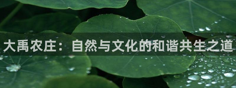 必一运动 b 体育素描版