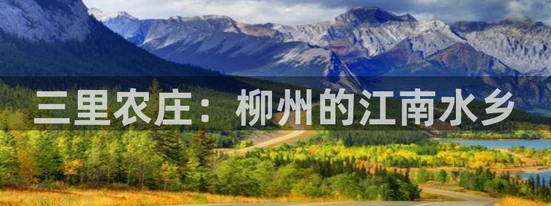 必一体育游戏特色