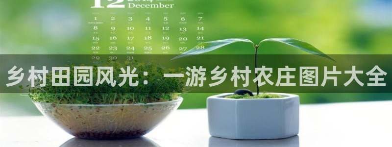 必一体育服下载最新版本更新内容