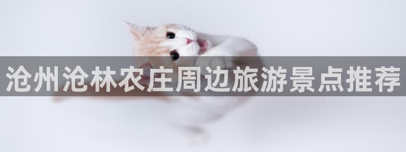 必一体育app官方下载