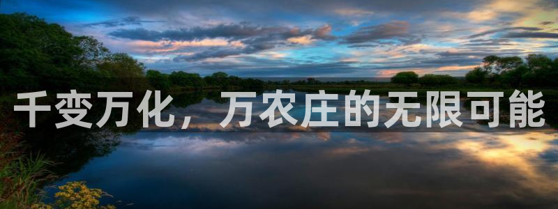 必一体育网站