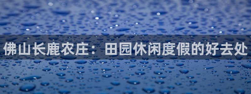 必一体育下载义
