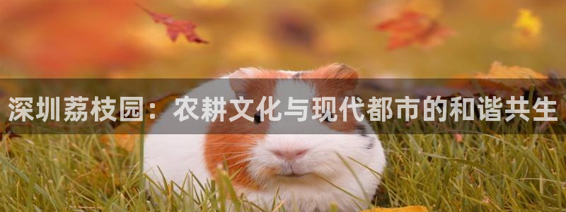 必一体育bsport下载