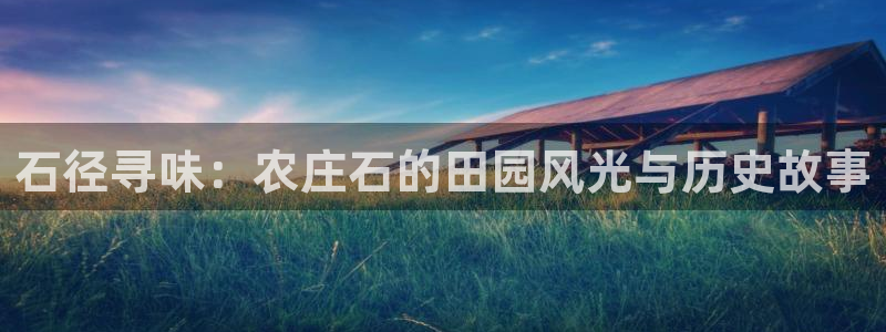 Bsport体育必一