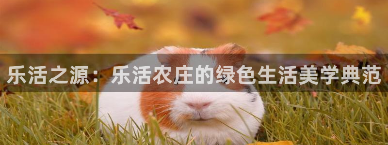 必一体育运动app下载