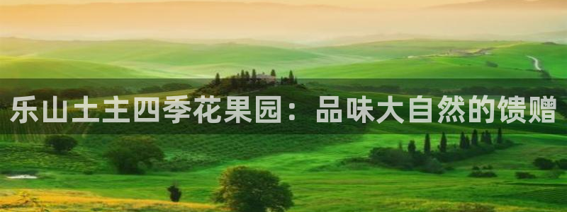 必一体育在线玩