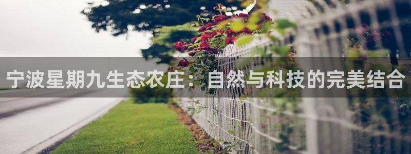 必一运动官网入口