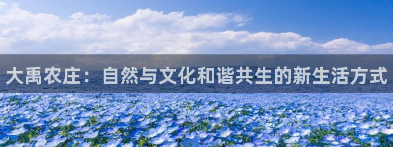 必一运动体育官网下载
