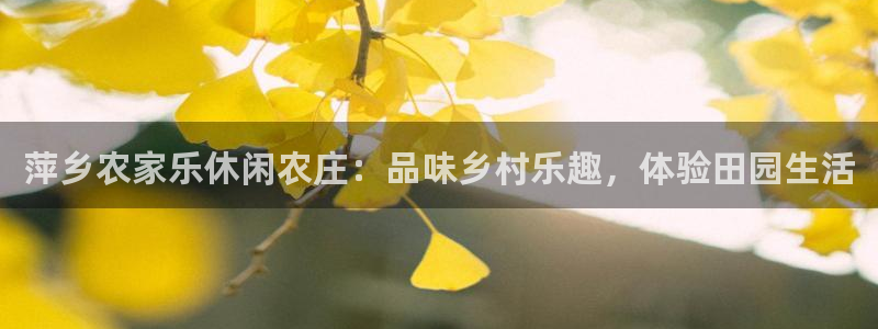 必一体育下载一样吗