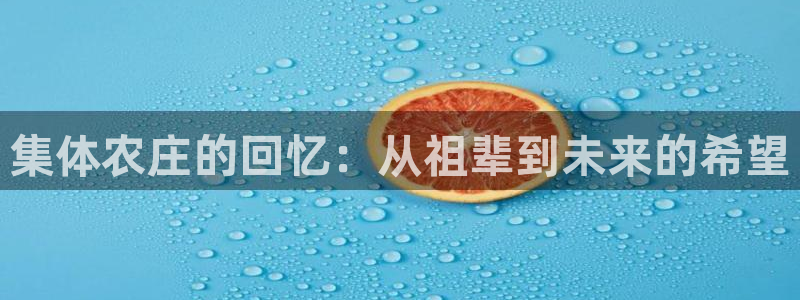 必一体育app官方下载