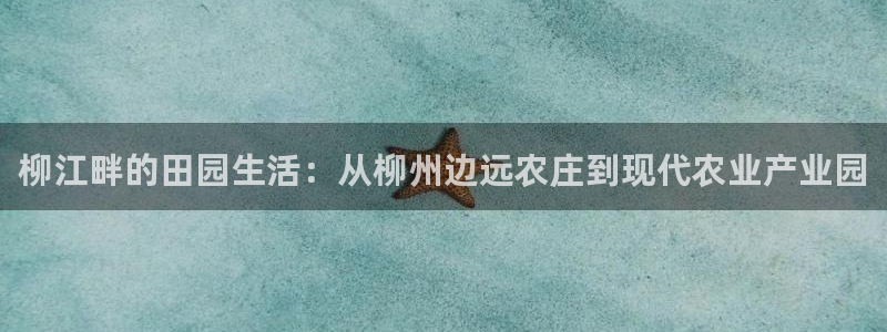 必一体育sport
